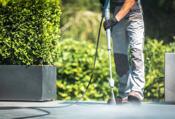 Professional Pressure Washing Services in Douglas, AL